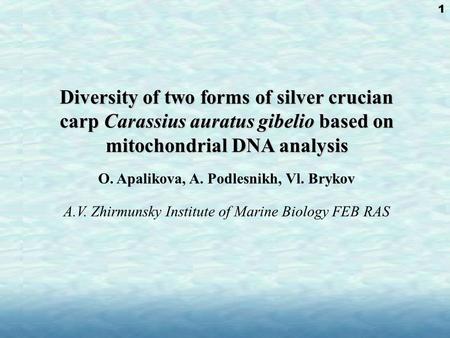 Diversity of two forms of silver crucian carp Carassius auratus gibelio based on mitochondrial DNA analysis Diversity of two forms of silver crucian carp.