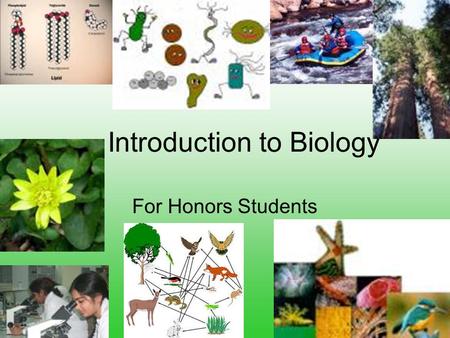 Introduction to Biology For Honors Students. The Golden Rule Treat thy neighbor as thyself. Do unto others as you would have them do unto you As you.