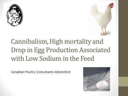 Cannibalism, High mortality and Drop in Egg Production Associated with Low Sodium in the Feed Canadian Poultry Consultants Abbotsford.