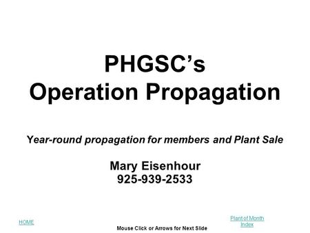 HOME Plant of Month Index Mouse Click or Arrows for Next Slide PHGSC’s Operation Propagation Year-round propagation for members and Plant Sale Mary Eisenhour.