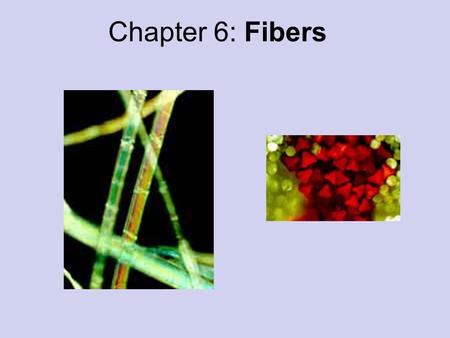 Chapter 6: Fibers.