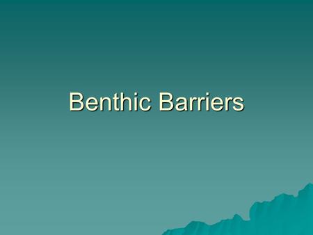 Benthic Barriers. What is a Benthic Barrier? The benthic screen limits light to the bottom of the lake, thus helping to preclude the growth of aquatic.
