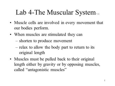 Lab 4-The Muscular System7-11