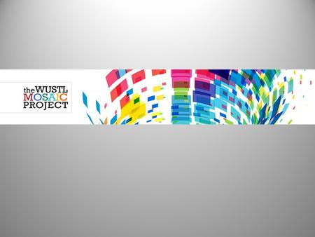 What is the Mosaic Project? The Mosaic Project supports the University’s ongoing commitment to strengthen diversity, foster inclusion, and promote social.