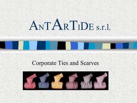 A N T A R T I D E s.r.l. Corporate Ties and Scarves.