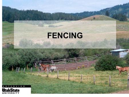 FENCING. What kind of fence do I want? USU, Logan, UT.