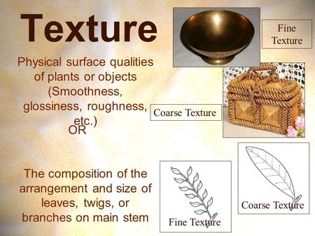 Texture Physical surface qualities of plants or objects (Smoothness, glossiness, roughness, etc.) The composition of the arrangement and size of leaves,