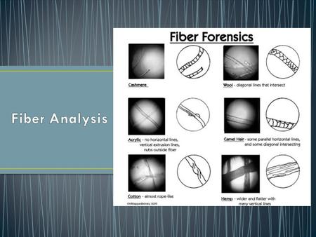 Fiber evidence provides information about where a person has been. Its origin must be narrowed down to one or two sources to be useful in crime scene.