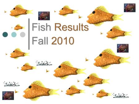 Fish Results Fall 2010 Slate Ocean Overall Best Team from the Slate Ocean Max Kohler Payson Schnabel Team #6 – Deep Key to a successful strategy... $13,194.