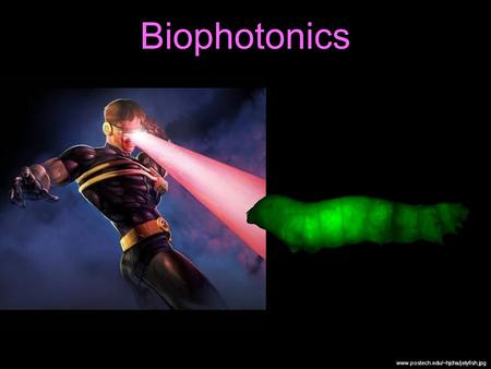 Biophotonics www.postech.edu/~hjcha/jelyfish.jpg.