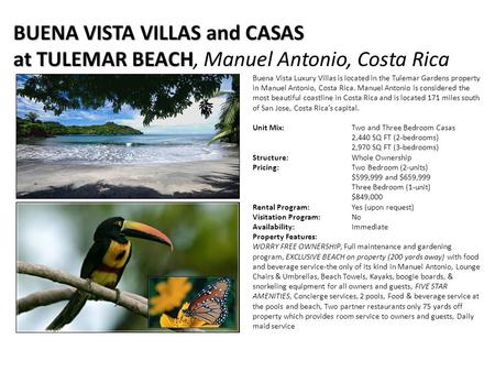 Buena Vista Luxury Villas is located in the Tulemar Gardens property in Manuel Antonio, Costa Rica. Manuel Antonio is considered the most beautiful coastline.