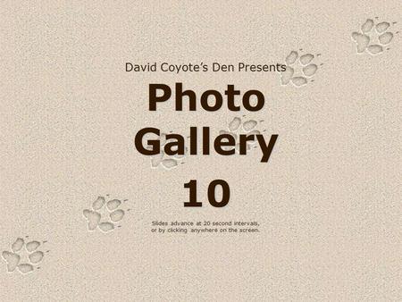 David Coyote’s Den Presents Photo Gallery 10 Slides advance at 20 second intervals, or by clicking anywhere on the screen.