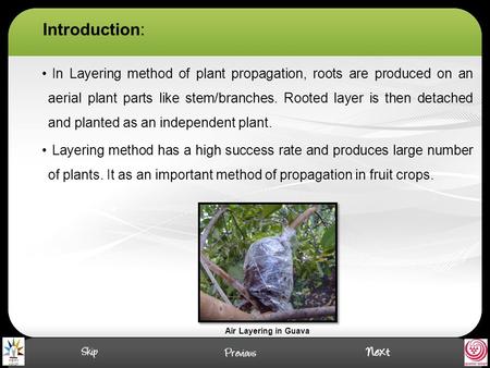 Introduction: In Layering method of plant propagation, roots are produced on an aerial plant parts like stem/branches. Rooted layer is then detached and.