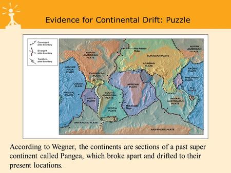 Figure 1-8a Tectonic Plates Evidence for Continental Drift: Puzzle According to Wegner, the continents are sections of a past super continent called Pangea,