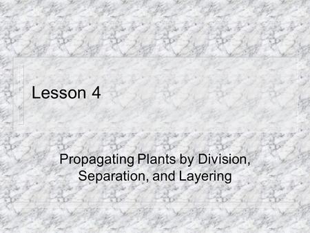 Propagating Plants by Division, Separation, and Layering