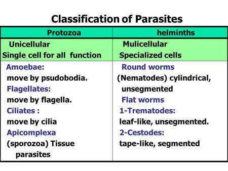 protozoai helminthiasis