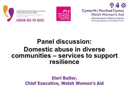 Panel discussion: Domestic abuse in diverse communities – services to support resilience Eleri Butler, Chief Executive, Welsh Women’s Aid.