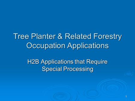 1 Tree Planter & Related Forestry Occupation Applications H2B Applications that Require Special Processing.