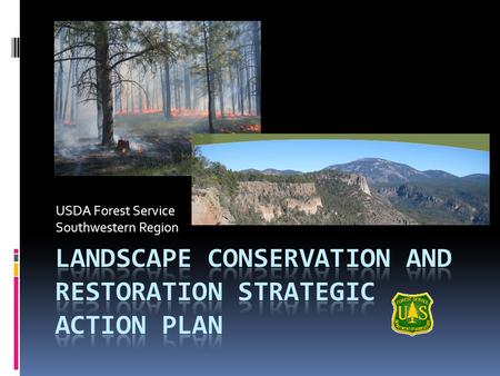 USDA Forest Service Southwestern Region. Overview  Why Landscapes?  Other Landscape Efforts  Strategic Action Plan Summary  Region-wide Landscape.
