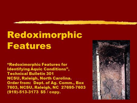 Redoximorphic Features “Redoximorphic Features for Identifying Aquic Conditions”, Technical Bulletin 301 NCSU, Raleigh, North Carolina. Order from: