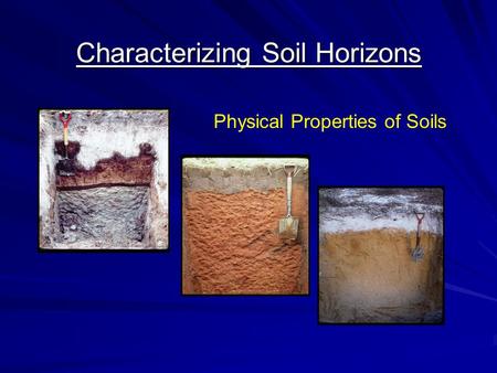 Characterizing Soil Horizons Physical Properties of Soils.