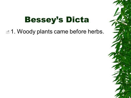 Bessey’s Dicta  1. Woody plants came before herbs.