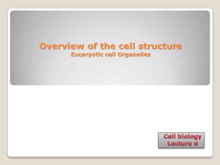 Overview of the cell structure Eucaryotic cell Organelles.