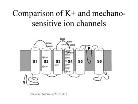 Comparison of K+ and mechano- sensitive ion channels Cha et al. Nature 402:813-817.