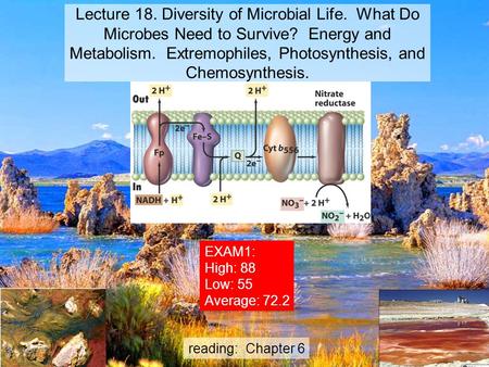 Lecture 18. Diversity of Microbial Life