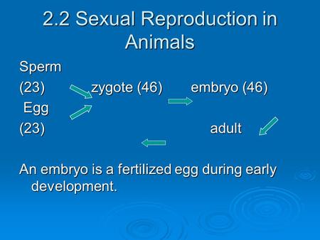 2.2 Sexual Reproduction in Animals