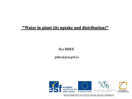 Water in plant (its uptake and distribution) Water in plant (its uptake and distribution) Jiye RHEE