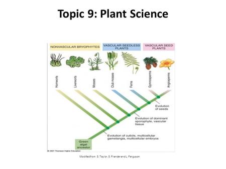 Topic 9: Plant Science Modified from S. Taylor, S. Frander and L. Ferguson.
