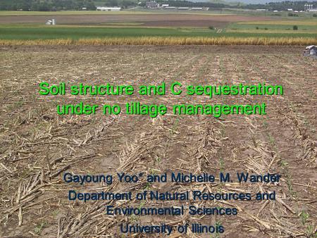 Soil structure and C sequestration under no tillage management Gayoung Yoo* and Michelle M. Wander Department of Natural Resources and Environmental Sciences.