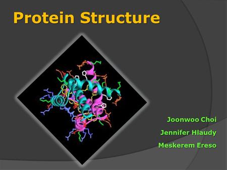 Protein Structure Joonwoo Choi Jennifer Hlaudy Meskerem Ereso.