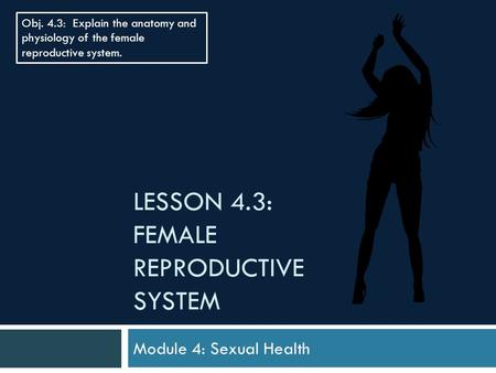 Lesson 4.3: Female Reproductive System