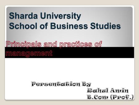 Sharda University School of Business Studies. SYSTEMS THEORY Provides a general analytical framework (perspective) for viewing an organization.