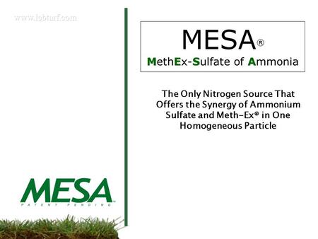 MESA® MethEx-Sulfate of Ammonia
