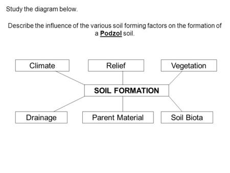 Climate Relief Vegetation SOIL FORMATION Drainage Parent Material