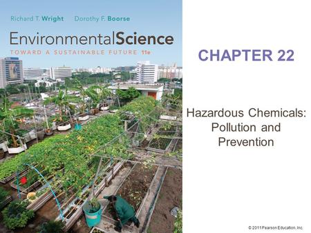 Hazardous Chemicals: Pollution and Prevention
