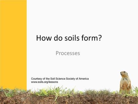 How do soils form? Processes. 4 basic processes in the soil ADDITIONS LOSSES TRANSLOCATIONS TRANSFORMATIONS (MOVEMENT WITHIN THE SOIL) (ONE COMPONENT.
