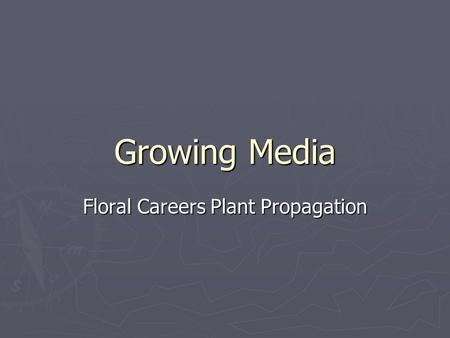 Floral Careers Plant Propagation