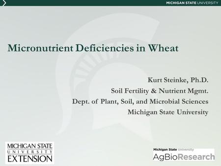 Micronutrient Deficiencies in Wheat Kurt Steinke, Ph.D. Soil Fertility & Nutrient Mgmt. Dept. of Plant, Soil, and Microbial Sciences Michigan State University.