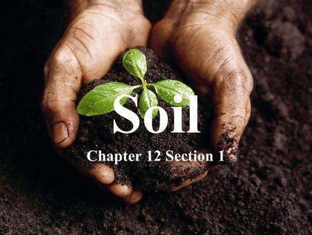 Soil Chapter 12 Section 1.