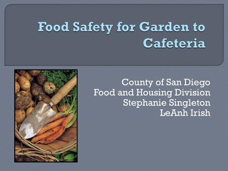 County of San Diego Food and Housing Division Stephanie Singleton LeAnh Irish.