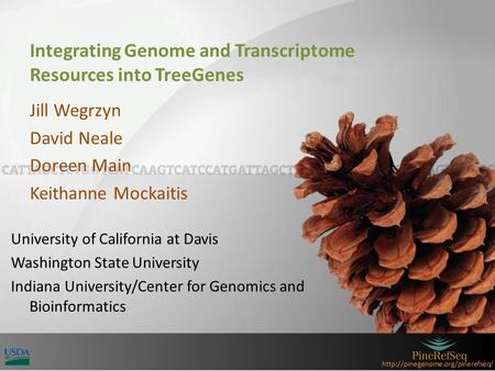 Integrating Genome and Transcriptome Resources into TreeGenes Jill Wegrzyn David Neale Doreen Main Keithanne Mockaitis.
