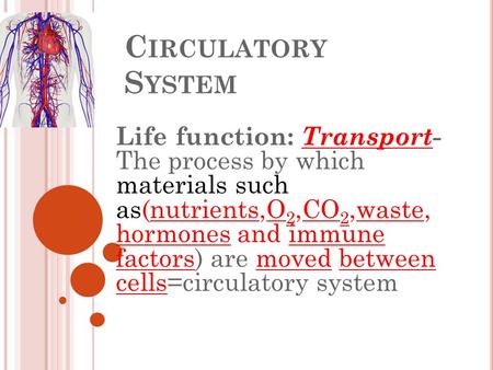 C IRCULATORY S YSTEM Life function: Transport- The process by which materials such as(nutrients,O 2,CO 2,waste, hormones and immune factors) are moved.