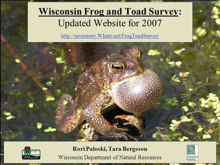 Wisconsin Frog and Toad Survey: Updated Website for 2007  Rori Paloski, Tara Bergeson Wisconsin Department of.