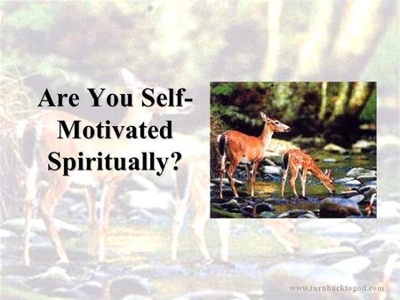 Are You Self- Motivated Spiritually? www.turnbacktogod.com.