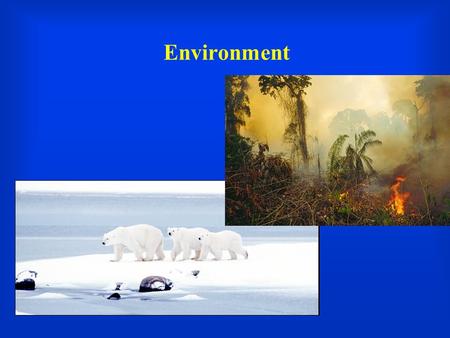 Environment. Of Polar Bears, Subsistence Farmers, Florida Residents, and Scientists   chst=m&vendor=&query=global+warming&submi.