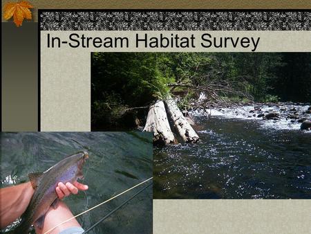 In-Stream Habitat Survey
